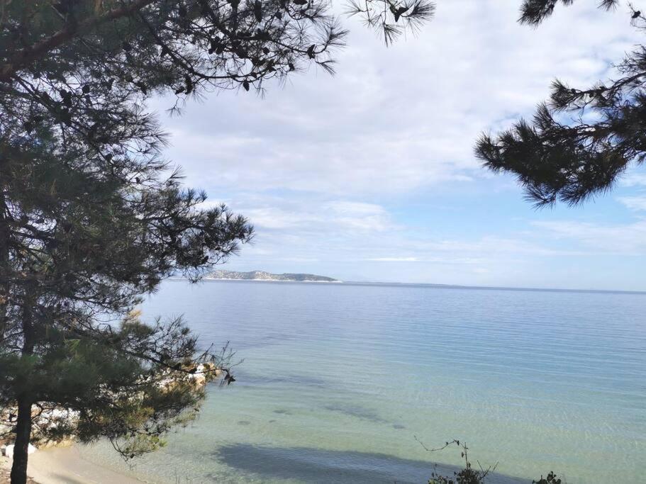 Central Thassos Apartment 3 מראה חיצוני תמונה